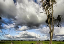 天涯神贴精品排行榜