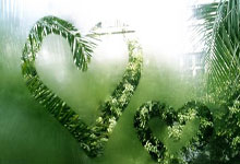 天涯论坛公务员考试：一场全民国考的网络备考江湖！